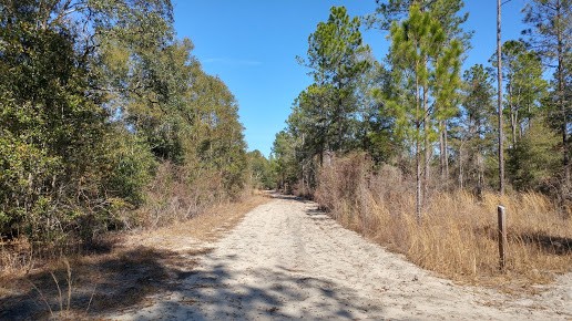 Hiking & Outdoor Walking Trails Around St. George Island | St. George ...