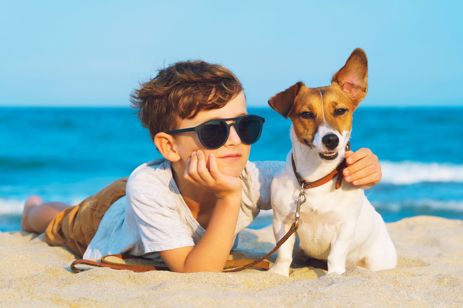 St. George Island Dog-Friendly Guide